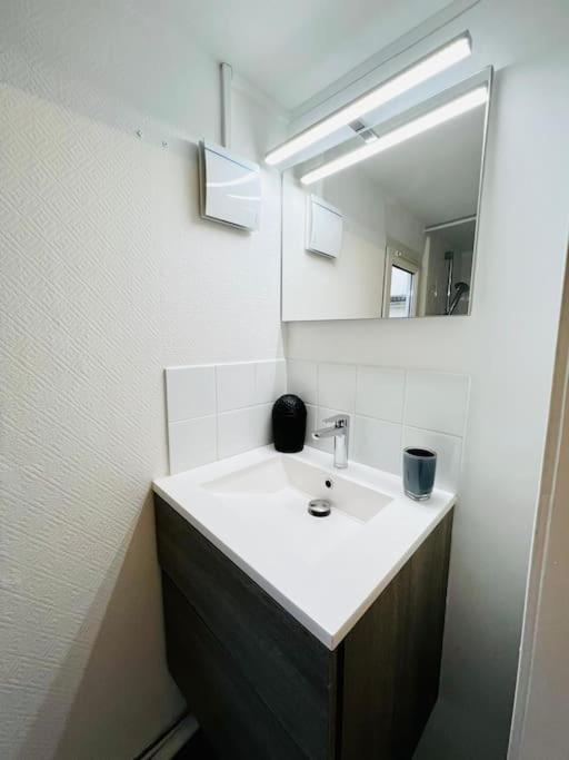 L'Eden, Apt 4 Prs Avec Jardin En Centre Ville Dijon Dış mekan fotoğraf